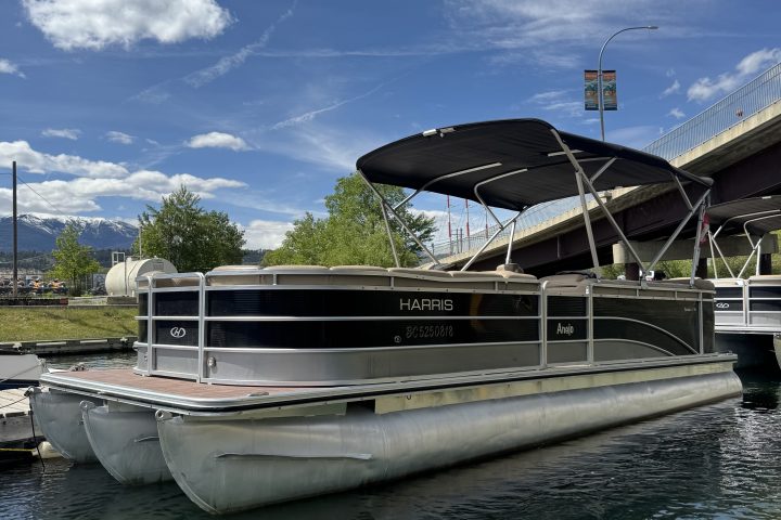Pontoon boat moored by a bridge on a sunny day.