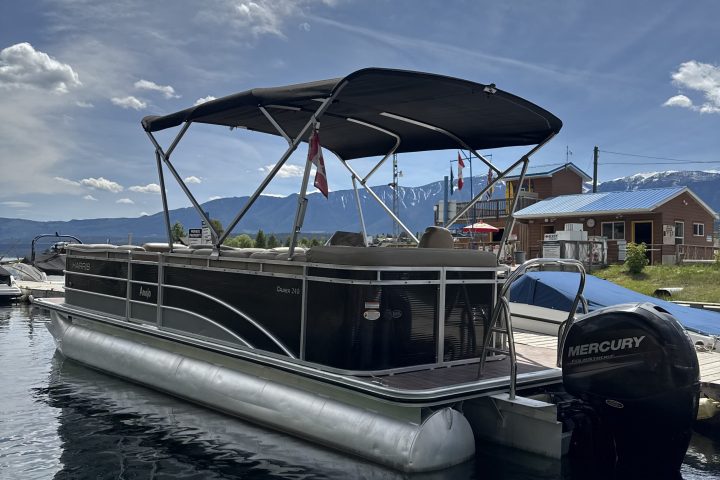 Pontoon boat with a canopy docked on a sunny day with cloudy sky.