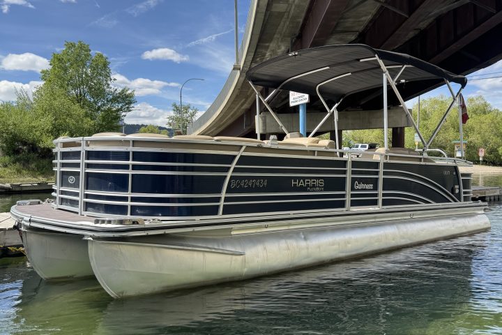 Pontoon boat under a bridge on clear water, trees in background.