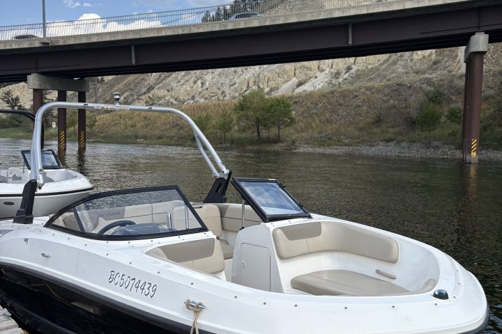 White motorboat docked near a pier under a bridge.