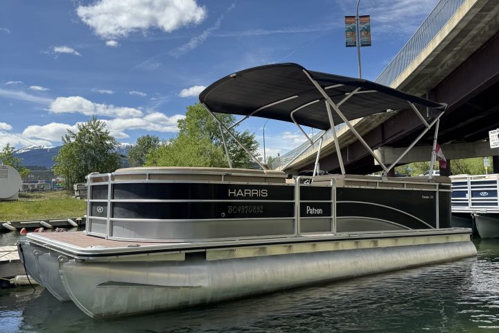 Pontoon boat docked under a bridge on a sunny day.