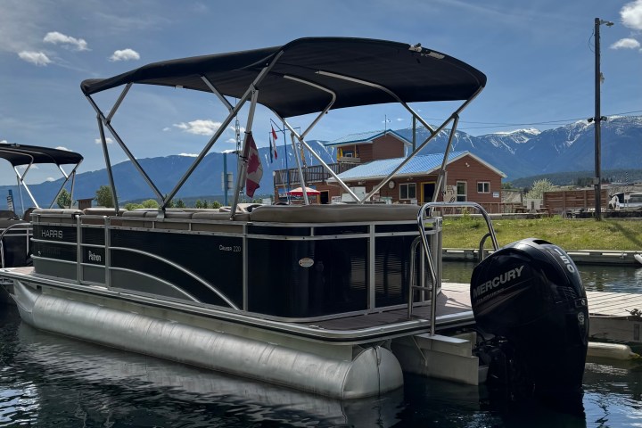 Pontoon boat docked on a lake with mountains in the background.